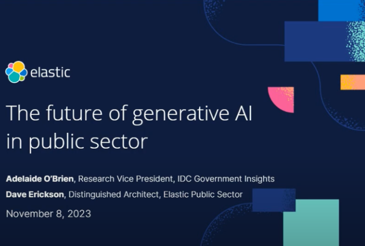 The future of generative AI in the public sector